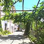 Agriturismo Il Castagno