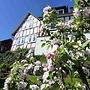 Apartment Near the Battenberg ski Area