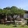 Detached House Near the sea With Garden and Terrace
