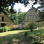 Idyllic Studio near Forest