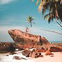 Mango Tree House