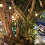Posada -La Dulce Villa