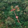 Cabaña Amazon Lodge