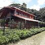 Sofi's Hostel Monteverde