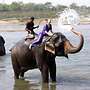 Chitwan Forest Resort