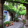 Saxonis Houses