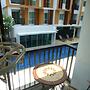 1 Double Bedroom Apartment With Swimming Pool Security and High Speed 