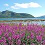 6 Person Holiday Home in Hennes