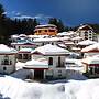 Ski Chalets at Pamporovo - an Affordable Village Holiday for Families 