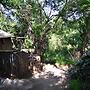 Pure Wilderness in Amanzimlotzi Riverside Bush Tent in Limpopo, Kruger