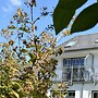 Geraumige Wohnung mit Balkon