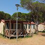 Nice Chalet in Pine Forest near Adriatic Sea