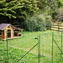 Serene Chalet in Antey-Saint-André near Ski Area