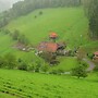 Apartment on a Farm on the Edge of the Forest