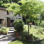 Belvilla by OYO Apartment in Sassoleone With Pool