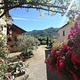 Comfortable Home in San Godenzo near Lake
