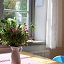 Holiday Apartment in Steffenshagen With Garden