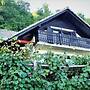 Vineyard Cottage Zajc