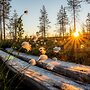 Metsä Kolo
