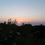 Cottage-apartment Surrounded By Unspoilt Nature On The Coast