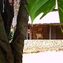 Sierraverde Cabin Cabana el Cedro