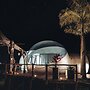 Green Land Bubble Glamping By Mint