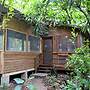 Iguana Roost Jungle Like Oasis Two Bedroom Cabin in San Ignacio
