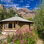 Chalet Seabuckthorn