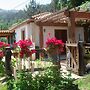 Countryside Cottage With Private Terrace