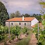 Cozy Mansion in Ponte de Lima With Pool