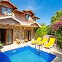Villa Aysel Paradise Private Pool A C Wifi Car Not Required Eco-friend