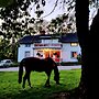 Charming 6 Bedroom House & Horse Farm - Sleeps 12