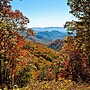 514bearhaustnncb - Bear Haus
