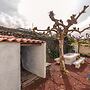 Casa do Tio Jos in Doze Ribeiras