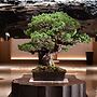 Hilton Hiroshima