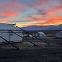 Yellowstone Dreamin Camp