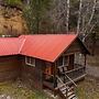 Southfork Lodge Cabin 2