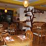 Kaaro Hotel El Buho