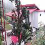 Veenu's Cottage