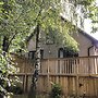 Treetops