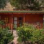 Felicity Hotel & Bungalows