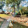 Son's Blue River Camp Glamping Cabin U