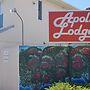 Apollo Lodge Motel