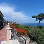 Ancelle Sorrento
