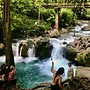 Arenal Sloth Hostel