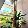 OASIS Apartments Simpson Bay