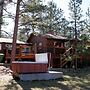Mountain Pine Cabin With Personal Hot Tub - Dog-friendly! 3 Bedroom Ca