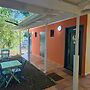 Studio abricot 309
