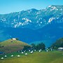 Ursa Mica Glamping Resort