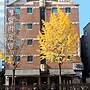 KAYLA HOTEL